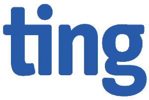 Ting Internet sponsor